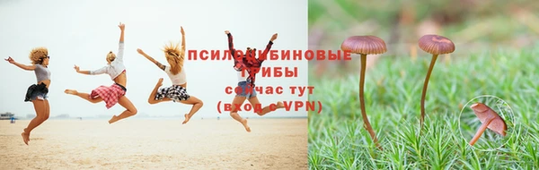 MDMA Premium VHQ Бронницы