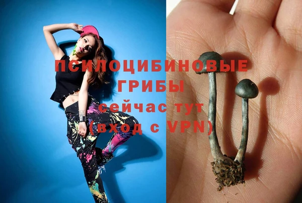 прущий лед Бугульма