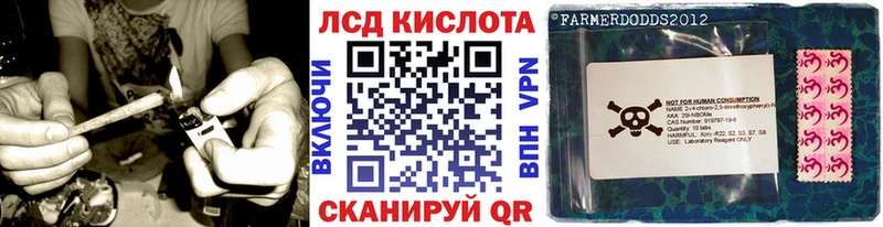 закладки  Губкинский  Марки NBOMe 1,5мг 