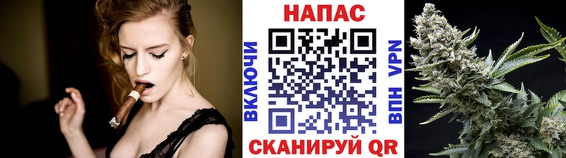 Каннабис OG Kush  Губкинский 